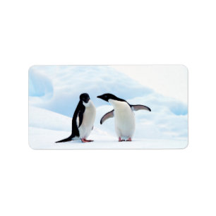 Étiquette Pingouins d'Adelie