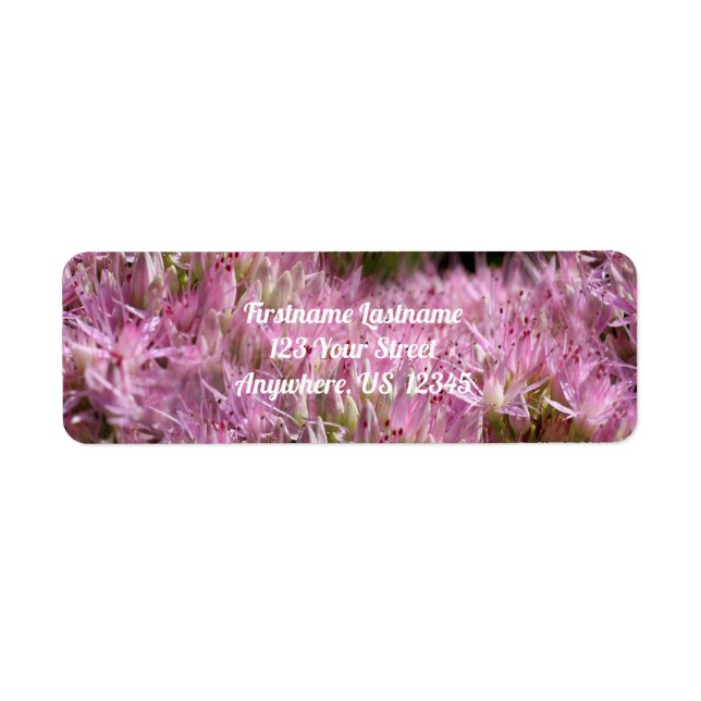 Étiquette Pink Sedum Autumn Flowers Multiplié Adresse (Devant)