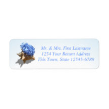 Plage Hydrangea Blue