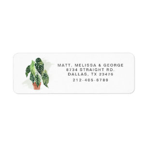 Étiquette Plante Poted Greenery Adresse de retour