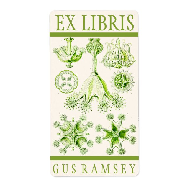 Étiquette Plaque de réservation Ernst Haeckel Stauromedusae (Devant)