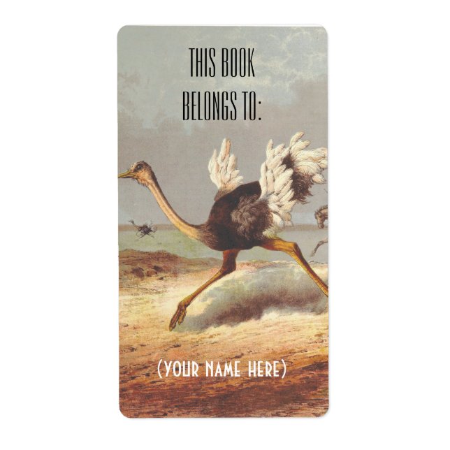 Étiquette Plaque d'illustration d'autruche colorée (Devant)