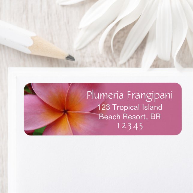 Étiquette Plumeria rose Frangipani Fleur Adresse tropicale (En situation)