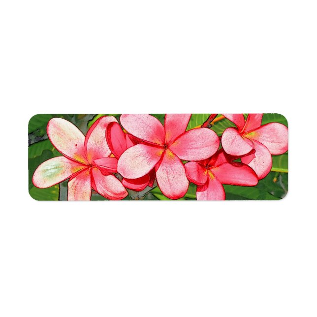 Étiquette Plumerias (Devant)