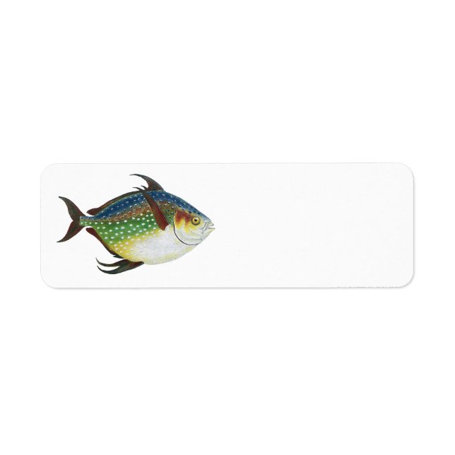 Étiquette Poisson Opah tropical, animal aquatique marin Vint (Devant)