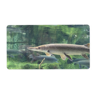 Étiquette Poissons de Pike