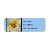 Poméranien dans Daisies Peinture - Art Chien origi