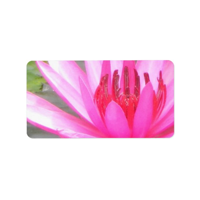 Étiquette Pond Lotus Tranquillité Namaste Adresse blanche (Devant)