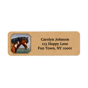 Étiquette Pony Pinto Cheval Tan