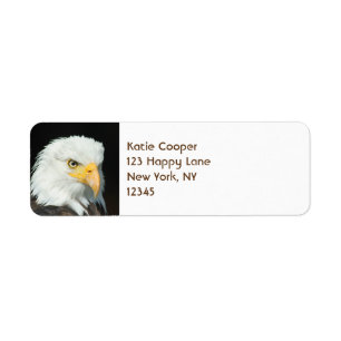 Étiquette Portrait Majestic Bald Eagle
