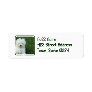 Étiquette postale d'adresse de retour de chien