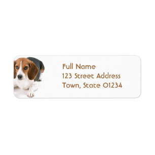 Étiquette postale d'adresse de retour de chien de