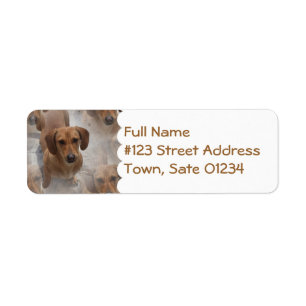 Étiquette postale de délivrance de Daschund