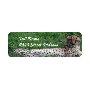 Étiquette postale de repos de guépard
