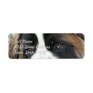 Étiquette postale de St Bernard
