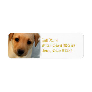 Étiquette postale jaune de chiot de laboratoire