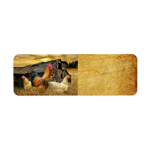 Étiquette Poules de coq Russe Grotte Coop (Devant)