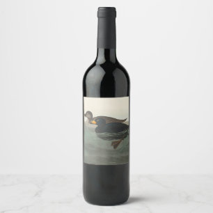 Étiquette Pour Bouteilles De Vin Audubon American Scoter Duck Classic