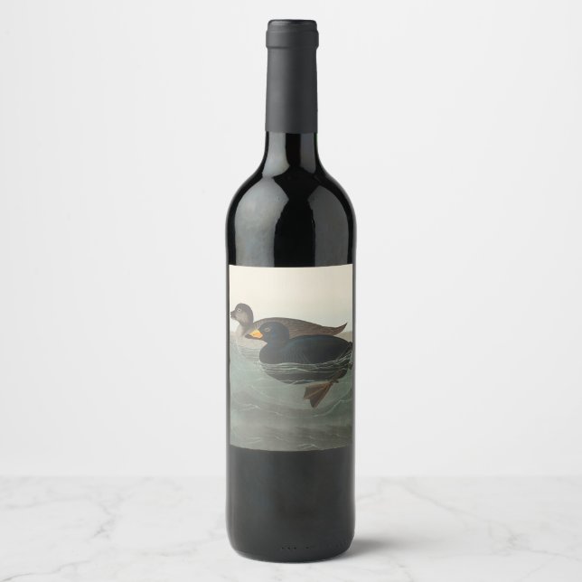 Étiquette Pour Bouteilles De Vin Audubon American Scoter Duck Classic (Devant)