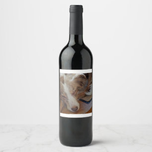 Étiquette Pour Bouteilles De Vin berger australien rouge merle dormir