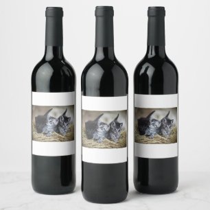 Étiquette Pour Bouteilles De Vin Cat