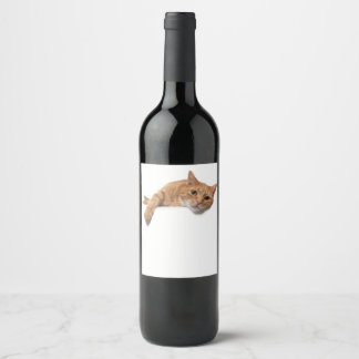 Étiquette Pour Bouteilles De Vin Chat Orange Posé En Bas