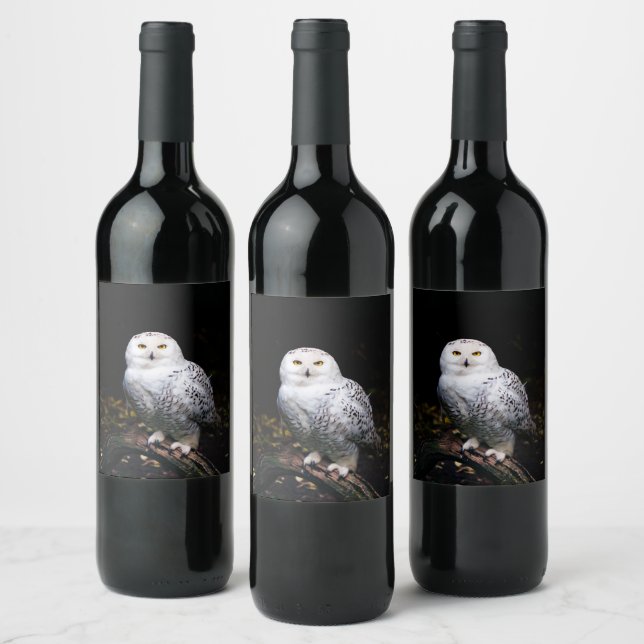 Étiquette Pour Bouteilles De Vin Chouette hivernale majestueuse (Bouteilles)