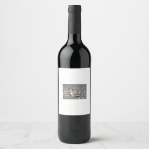 Étiquette Pour Bouteilles De Vin Ensemble d'étiquettes de nourriture et de boisson