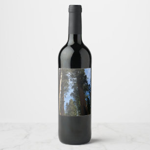 Étiquette Pour Bouteilles De Vin Giant Sequoia