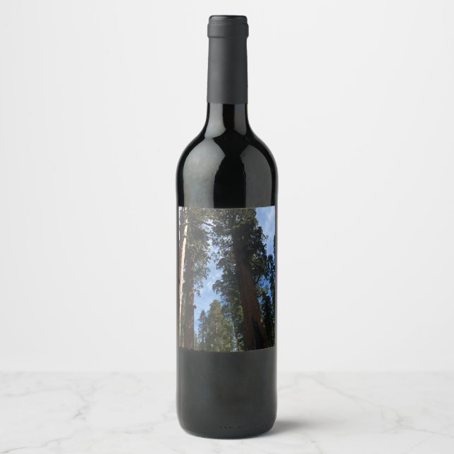 Étiquette Pour Bouteilles De Vin Giant Sequoia (Devant)