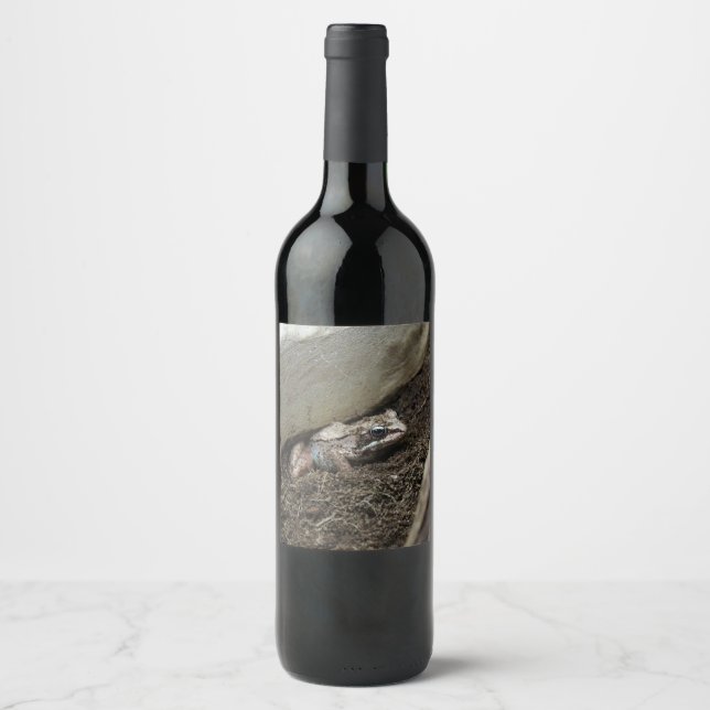 Étiquette Pour Bouteilles De Vin Grenouille sale (Devant)