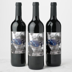 Étiquette Pour Bouteilles De Vin Jay bleu hiver