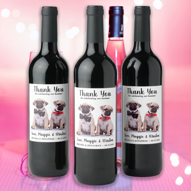 Étiquette Pour Bouteilles De Vin Merci photo pour animal de compagnie personnalisé  (Créateur téléchargé)
