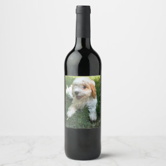 Étiquette Pour Bouteilles De Vin Photo Cavachon customisée, Chien