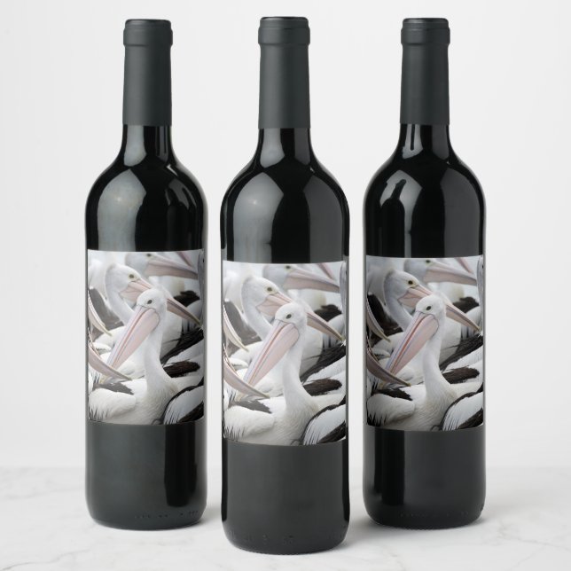 Étiquette Pour Bouteilles De Vin Pod pélican (Bouteilles)