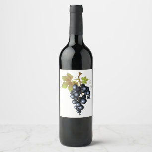 Étiquette Pour Bouteilles De Vin Raisins de concorde