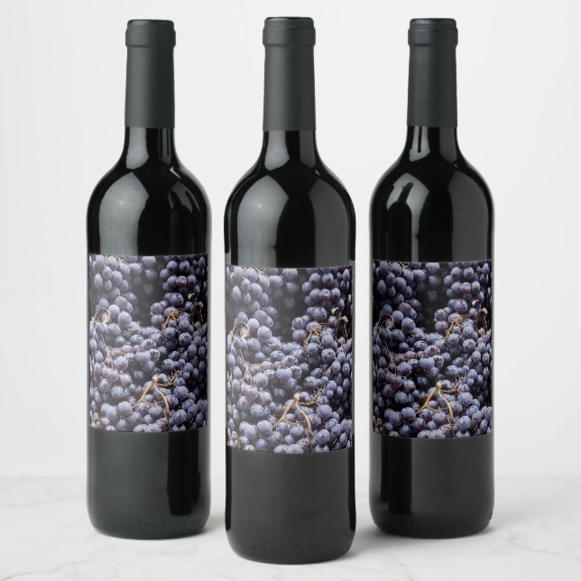 Étiquette Pour Bouteilles De Vin Raisins de France (Bouteilles)