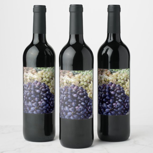 Étiquette Pour Bouteilles De Vin Raisins de Malte (Bouteilles)