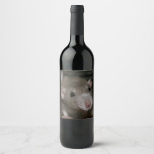 Étiquette Pour Bouteilles De Vin Rat curieux