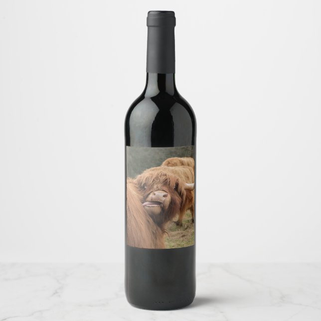 Étiquette Pour Bouteilles De Vin Scottish Highland cow photograph  (Devant)