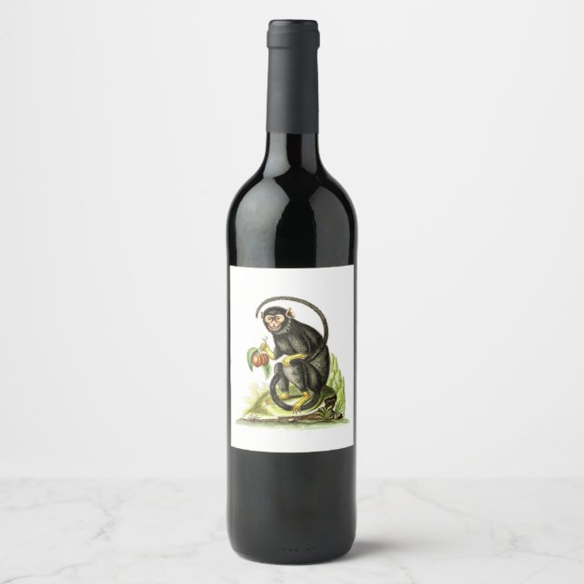 Étiquette Pour Bouteilles De Vin Singe Au Fruit (Devant)