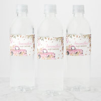 Baby shower de camion rose citrouille