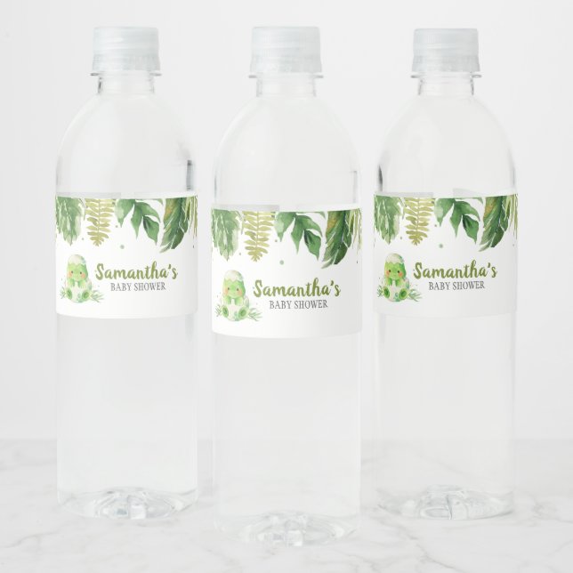 Étiquette Pour Bouteilles D'eau Baby shower Dinosaur (Bouteilles)