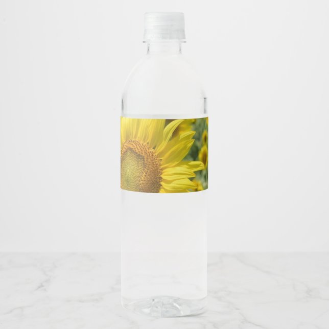 Étiquette Pour Bouteilles D'eau Bouteilles d'eau (Devant)