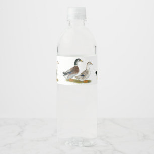 Étiquette Pour Bouteilles D'eau Canards : Argent