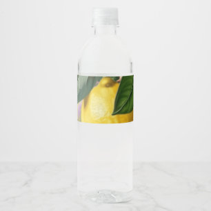Étiquette Pour Bouteilles D'eau Citron vert
