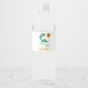 Étiquette Pour Bouteilles D'eau Dinosaure de garçon d'anniversaire personnalisé