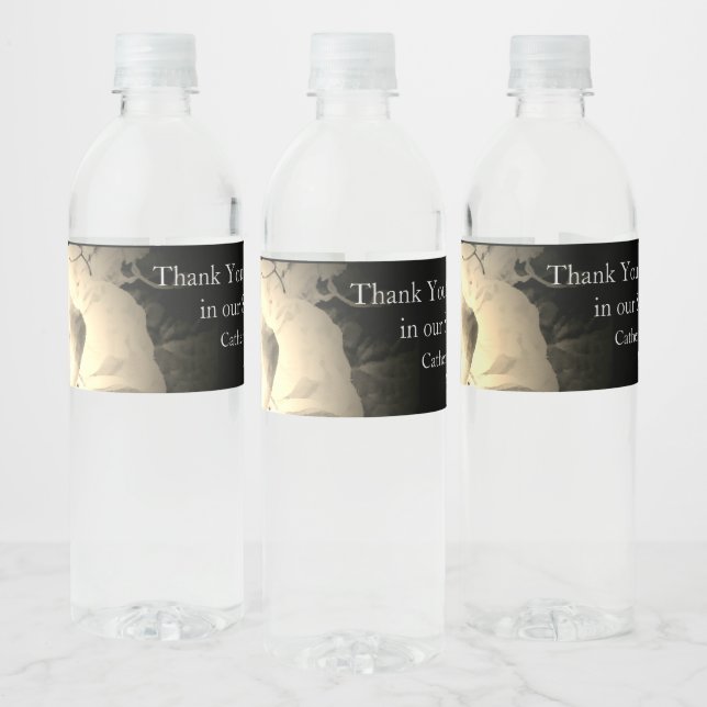 Étiquette Pour Bouteilles D'eau Élégant Rose Monogrammé (Bouteilles)