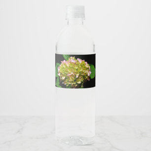 Étiquette Pour Bouteilles D'eau Elégantes hydrangées florales vertes et douces