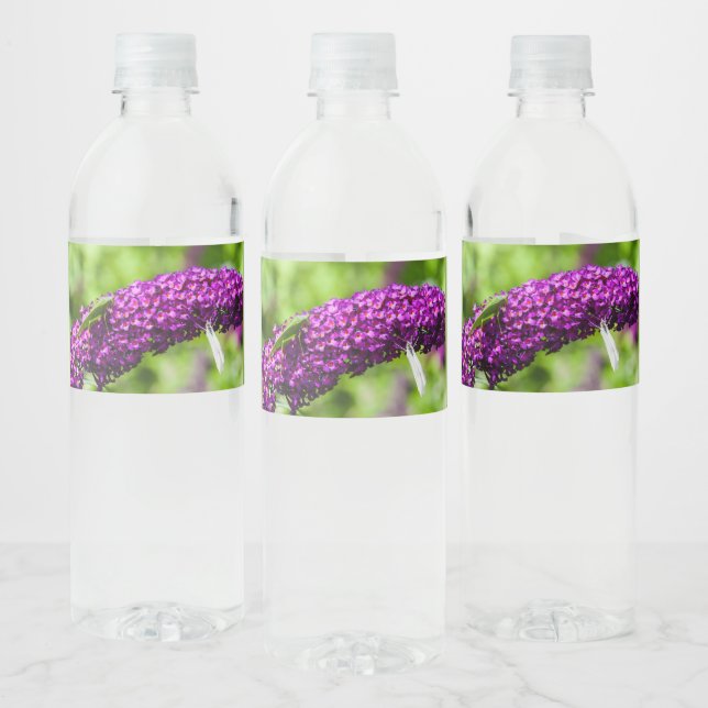 Étiquette Pour Bouteilles D'eau énergie katydone (Bouteilles)